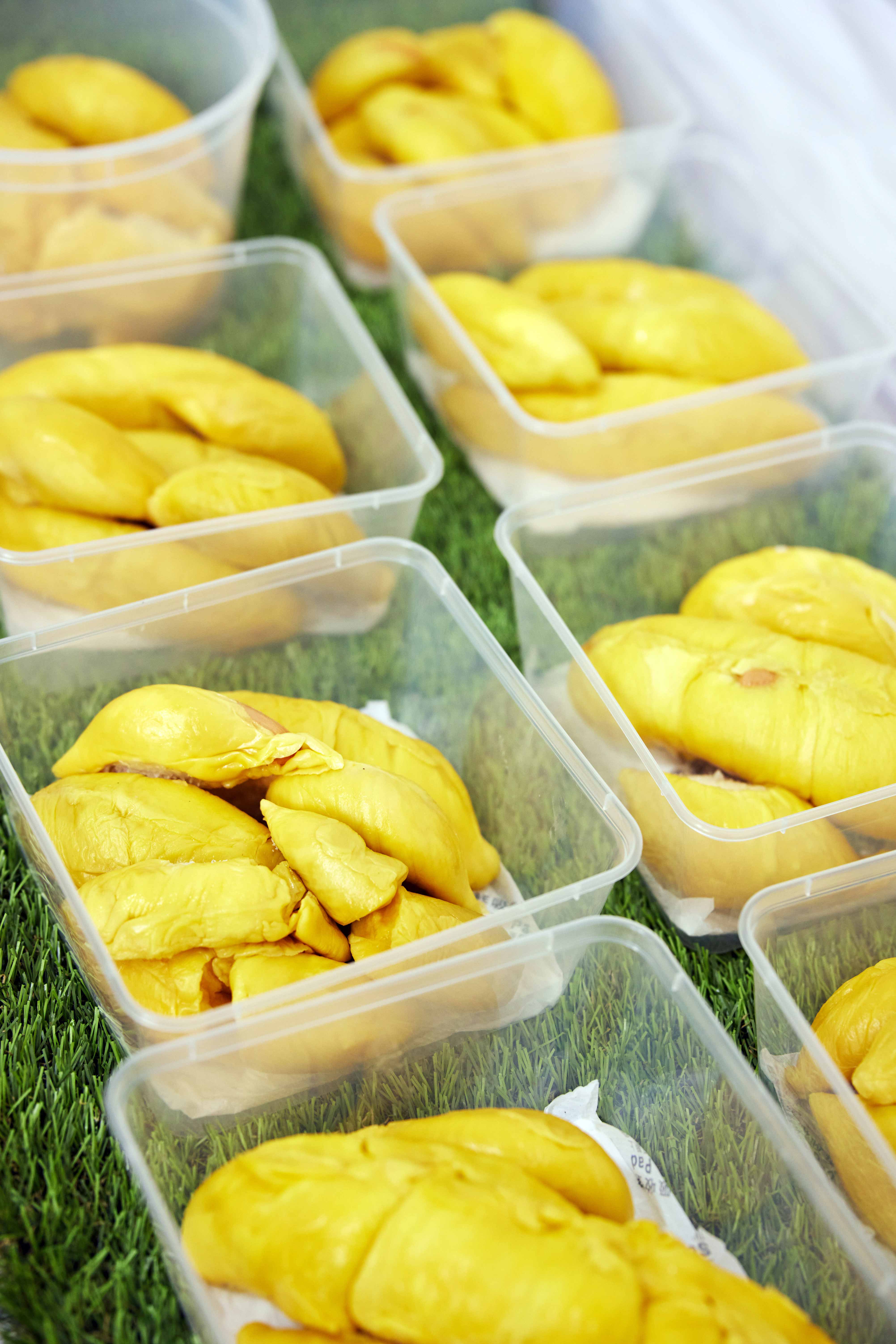 durianpilots packed durian2 9929 data